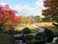 桃山の庭の紅葉