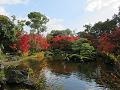 平安の庭の池と紅葉2