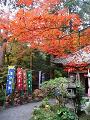 福禄寿堂と紅葉