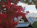 紅葉と比叡山