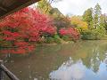 東屋から見る池と紅葉