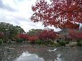 瓢箪池と紅葉