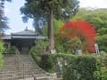 本堂と真っ赤な紅葉
