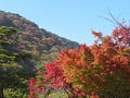 嵐山と紅葉