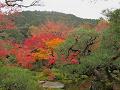 大日山と紅葉