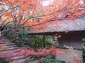 茅葺屋根のお堂と紅葉