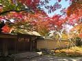 茅葺屋根の門と紅葉