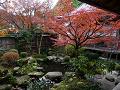 鶴亀庭園の紅葉