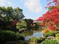 平安の庭の池と紅葉