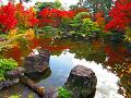 平安の庭の池と紅葉3