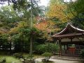 賀茂山口神社と紅葉