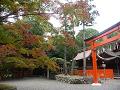奈良社の鳥居と紅葉