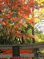 福壽稲荷神社と紅葉