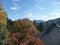転法輪堂の屋根と紅葉