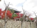石垣と山門と紅葉