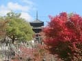 三重塔と紅葉