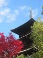 三重塔と真っ赤なモミジ