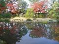 池と紅葉3