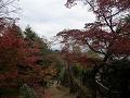 小倉山から見る紅葉