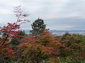 小倉山から見る紅葉2