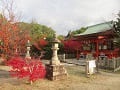 山城ゑびす神社と紅葉