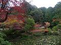 鯉沢池と紅葉2