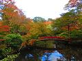 池と必度橋と紅葉