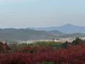 展望台から眺める比叡山と紅葉
