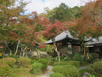 清閑寺の紅葉の写真