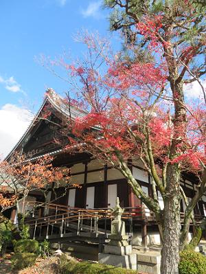 清浄華院の紅葉の写真