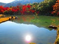 曹源池に映る太陽と紅葉
