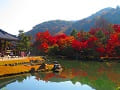 曹源池と紅葉と嵐山