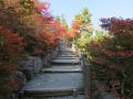 望京の丘の紅葉