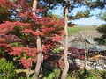 望京の丘から見る紅葉