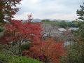 望京の丘の紅葉2