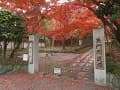 東福僧堂の参道と紅葉